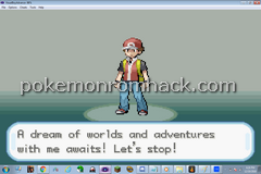 Pokemon Stupid Version GBA ROM Hacks 