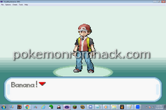 Pokemon Stupid Version GBA ROM Hacks 