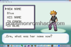 Pokemon Stupid Version GBA ROM Hacks 