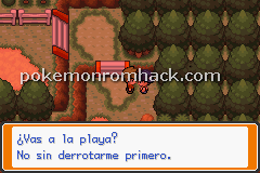 Pokemon Terra Firma GBA ROM Hacks 