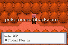 Pokemon Terra Firma GBA ROM Hacks 