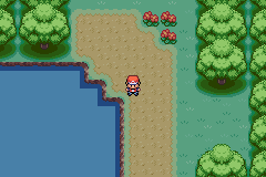 Pokemon The Leola Project Summer GBA ROM Hacks 