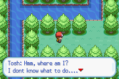 Pokemon The Tree of Time GBA ROM Hacks 