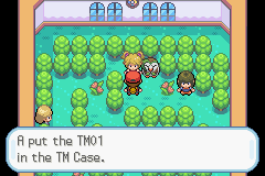 Pokemon The Tree of Time GBA ROM Hacks 