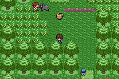 Pokemon Valkyrie GBA ROM Hacks 