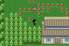 Pokemon Valkyrie GBA ROM Hacks 