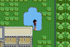 Pokemon Valkyrie GBA ROM Hacks 