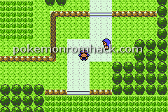 Pokemon Voltage Version GBA ROM Hacks 