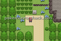 Pokemon Weather Version GBA ROM Hacks 