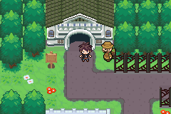 Gba download x pokemon y z id.mynextpuppy.com