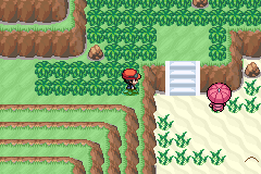 Pokemon Yuval GBA ROM Hacks 