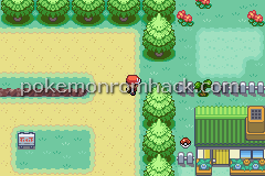 Pokemon Zaru GBA ROM Hacks 