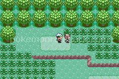 Project Pokemon Emerald GBA ROM Hacks 