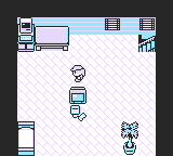 Shin Pokemon Green GBC ROM Hacks 