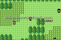 The Nostalgic Emerald Hack GBA ROM Hacks 