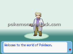 What happened to Pokemon Se7en? RMXP Hacks 